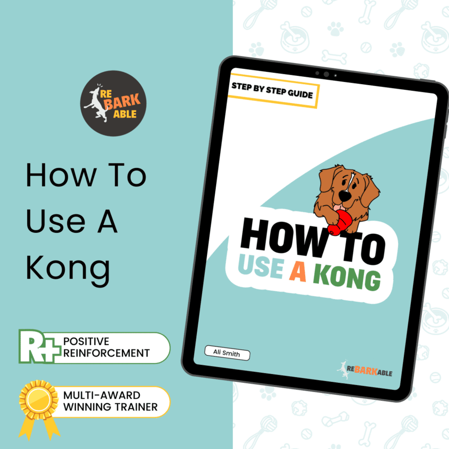 etsy how to use a kong