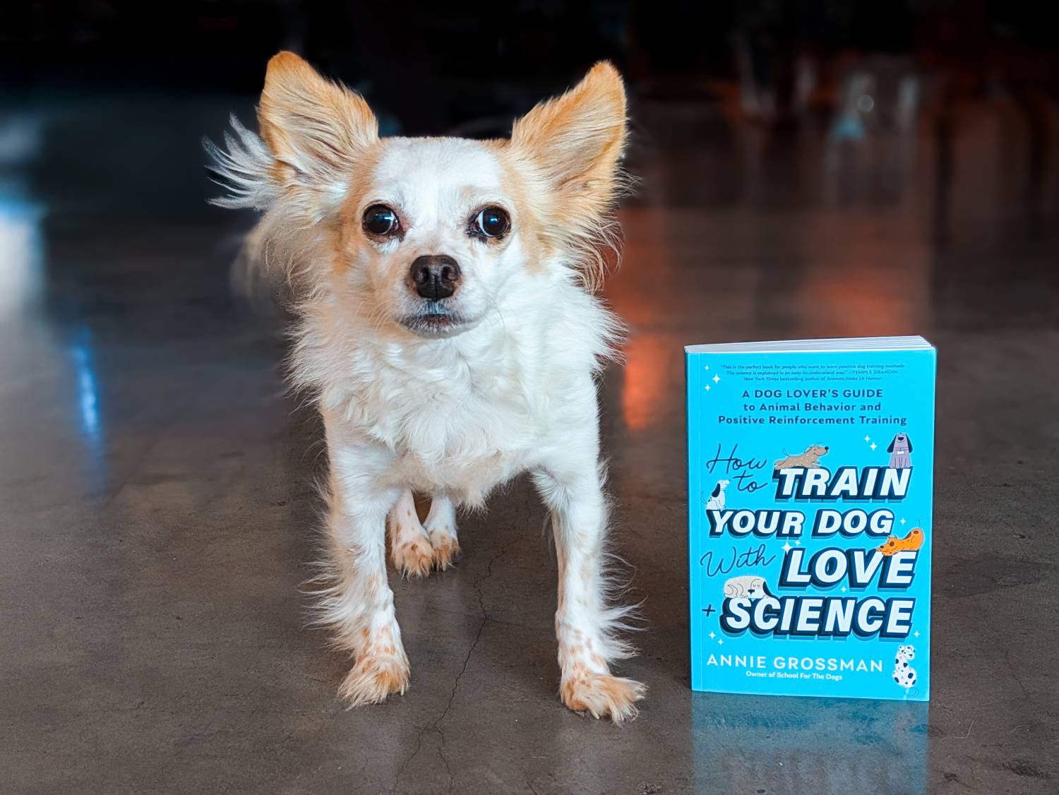 How to Train Your Dog with Love + Science Book Review - dog with the book