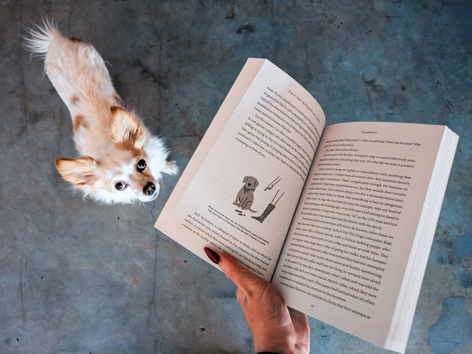 How to Train Your Dog with Love + Science Book Review - training with dog