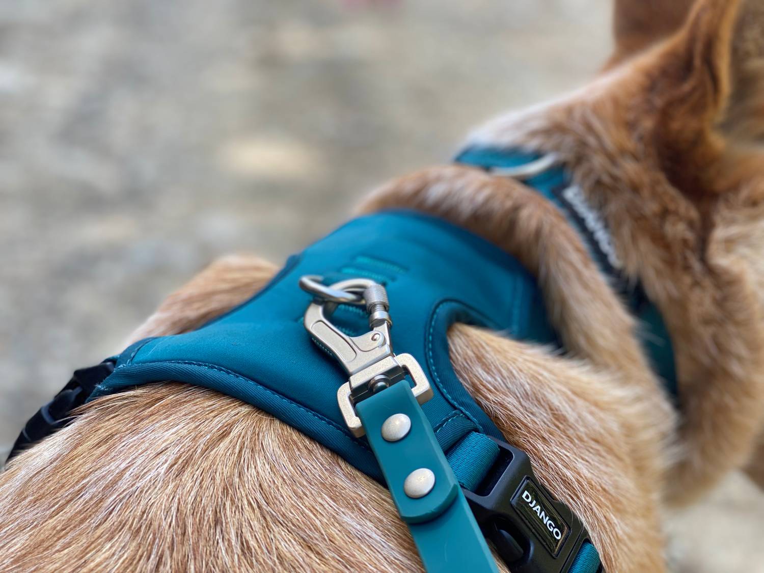 DJANGO Tahoe Bundle Review - close up of hook