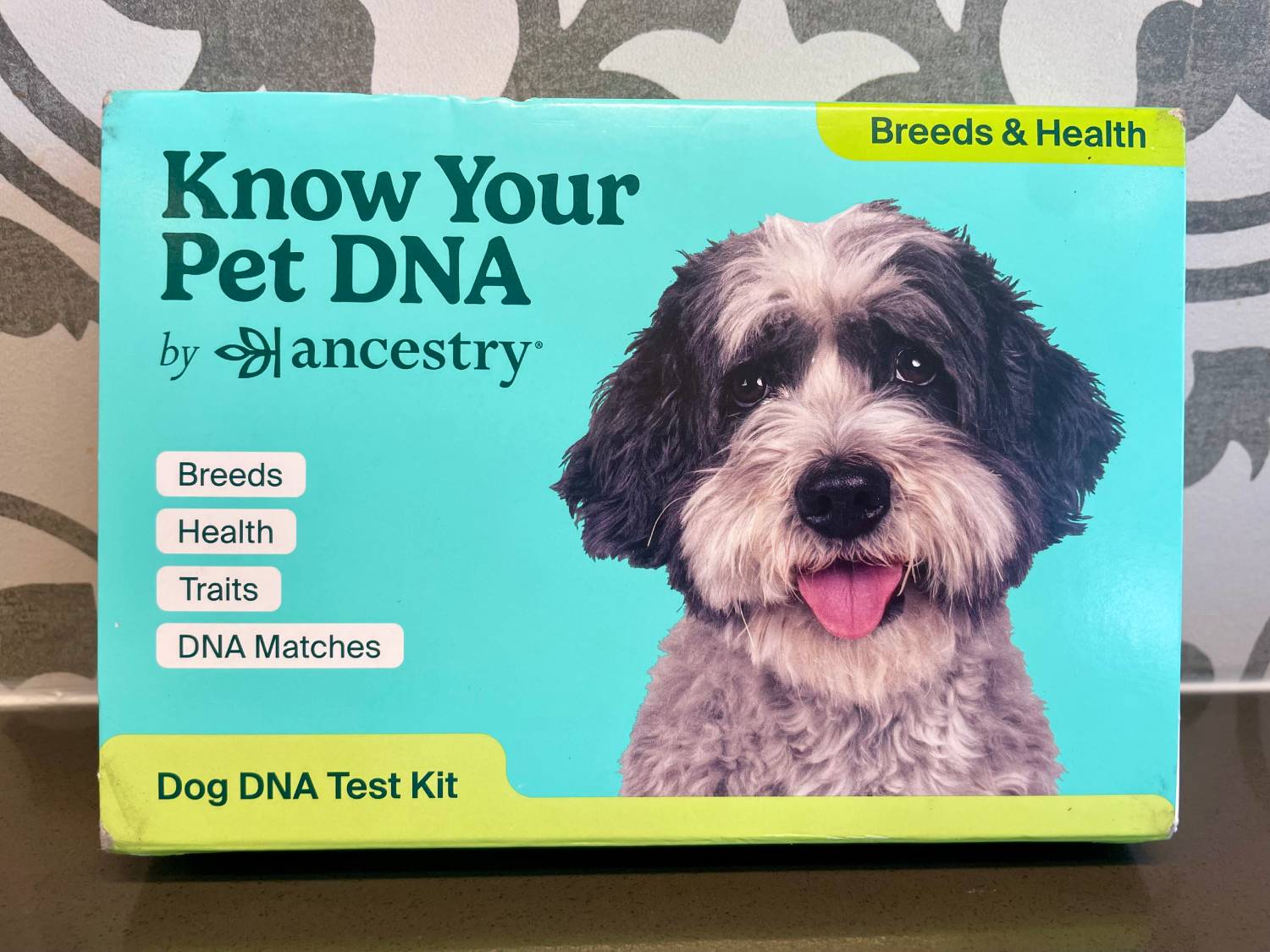 PGV Know Your Pet DNA by Ancestry Review - box kit
